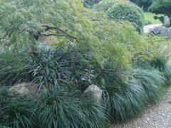 -西湖外事游船(花港观鱼码头)