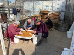 -苏州市吴中区光福窑上花果蜜饯厂