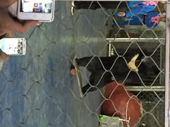 秦岭野生动物园-西安秦岭野生动物园