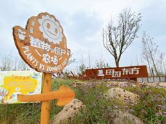 -田园东方蜜桃村的田野营地