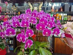 -名典餐厅(铁西立安花园店)