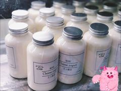 芝士酸奶-正飞鲜奶(南湖一期店)