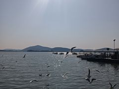 -蠡湖大桥公园