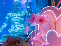 -正佳雨林生态植物园