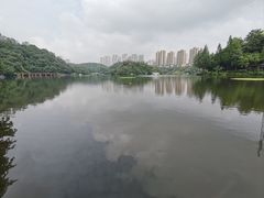 -重庆彩云湖湿地公园
