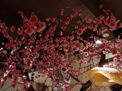 -香坝坝鲜鱼火锅(春熙路店)