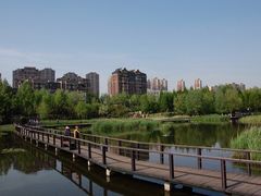 -前关湿地公园