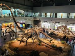 -自贡恐龙博物馆