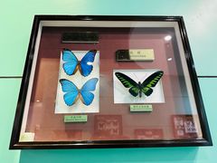 -上海昆虫博物馆