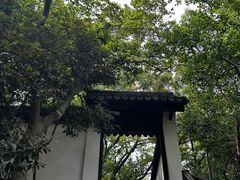 -上海佘山国家森林公园天马山园