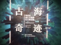 -国家自然博物馆