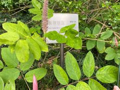 -广州神农草堂中医药博物馆