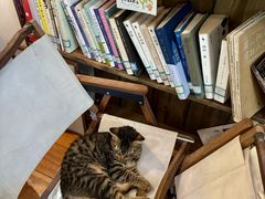 -懒鱼时光馆(沙坪坝店)