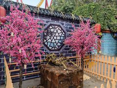 -北京欢乐谷