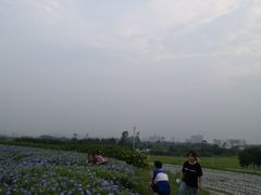-光明小镇欢乐田园