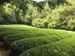 -敬亭山风景名胜区