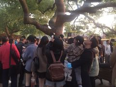 -西湖外事游船(湖滨二公园外事游船码头)