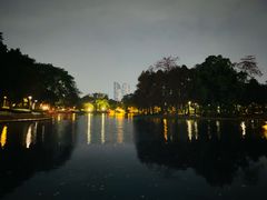 -荔湾湖公园