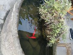 -海窝子古镇