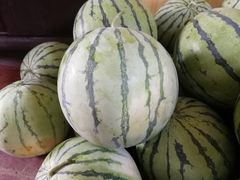 -胜丰草莓采摘园