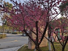 -三江森林温泉度假区