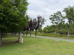 -阳澄湖半岛旅游度假区