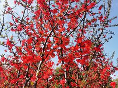 -眉山湿地公园(东坡区)