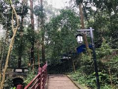 -都江堰普照寺