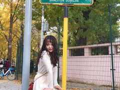 -三里屯东五街银杏大道