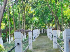 -龙头寺公园