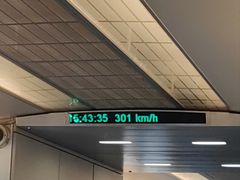 -龙阳路磁悬浮列车总站-停车场