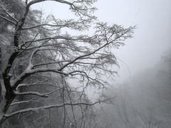 -秦岭天竺山景区