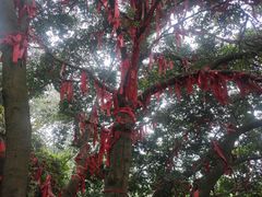 -金堂县云顶石城风景区