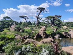 -罗红摄影艺术馆