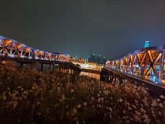 -武汉知音号