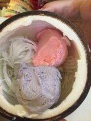 -志龙皇冠吃货椰子铺