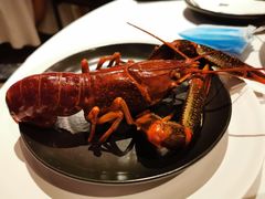 冰镇花雕富贵虾皇-三号黄浦会Canton Table