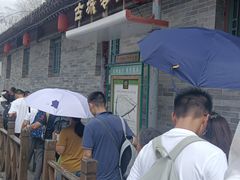 -王家大院