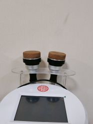 -苗塑堂减肥艾灸