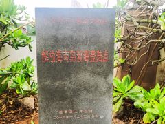 -临高角
