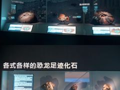 -舒馨坊养生会所·足浴·油压·SPA(瑞景店)