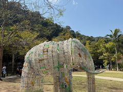 -野象谷景区