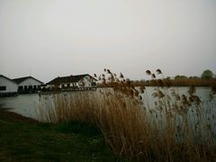 -同里国家湿地公园