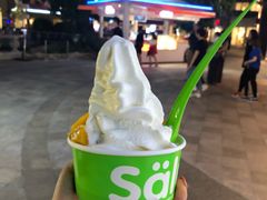 -Salud撒露欧洲冻酸奶(蓝色港湾店)