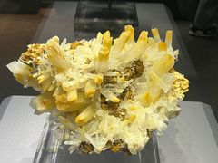 -湖南省地质博物馆