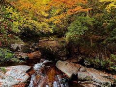 -光雾山旅游景区
