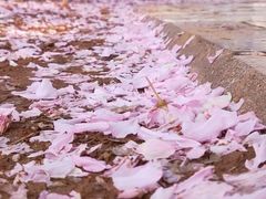 -山东大学(软件园校区)