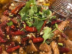 -熊猫川菜馆 panda chine