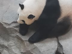 -宁波野生动物园