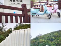 -东澳岛